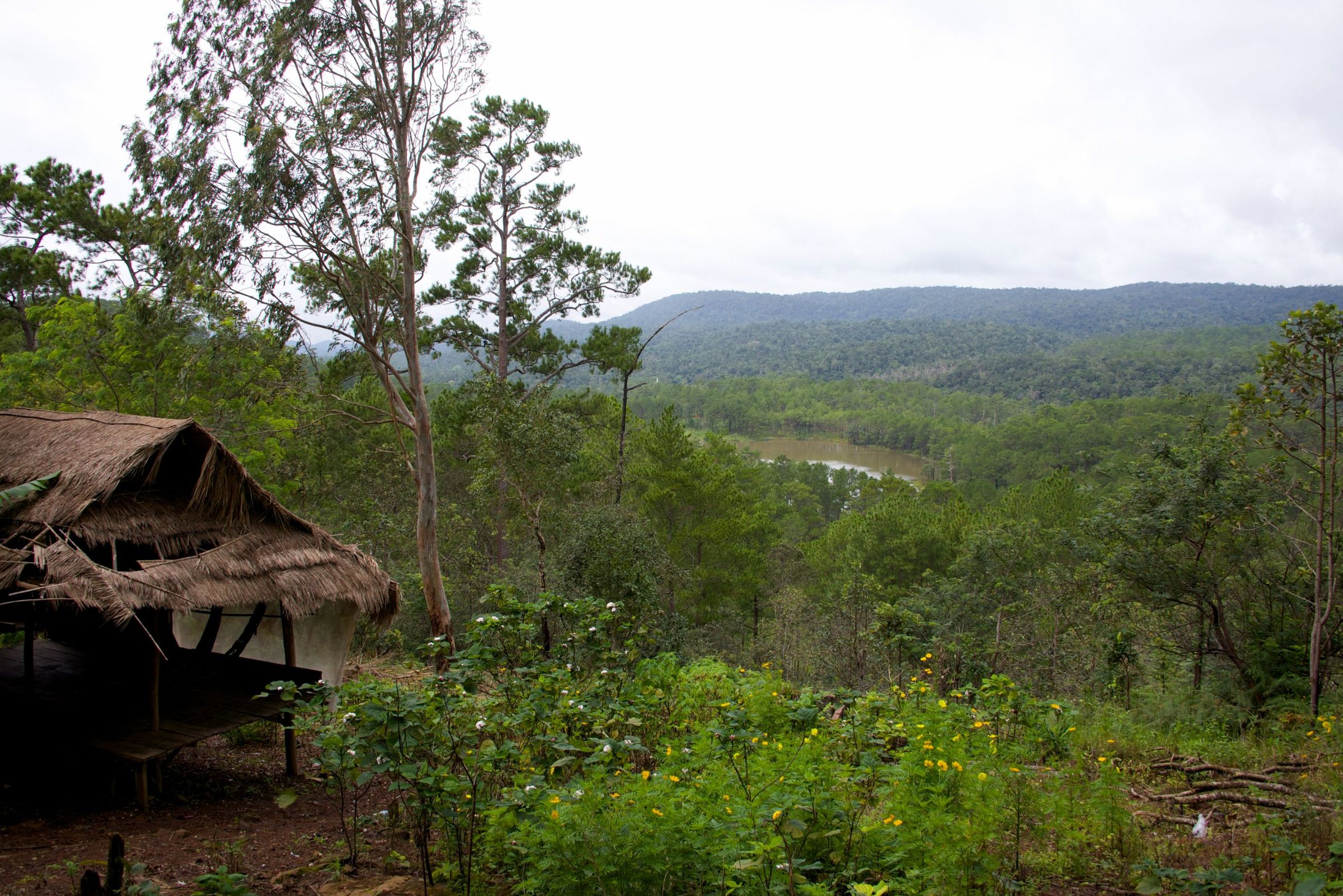 Phnom Penh Trekking To Siem Reap - Pakse ( Laos ) 10 Days